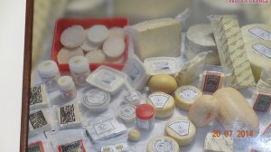 From the Cheese Shop