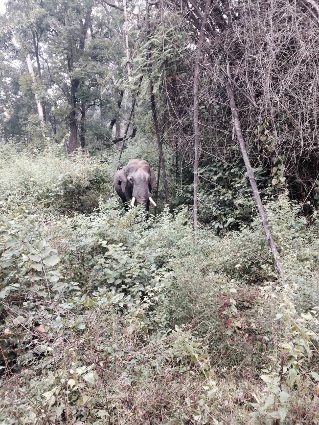 1553354_10203964646330893_3055719039614054653_o