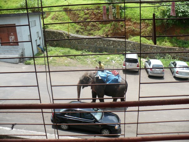 1910549_1186850025794_3591488_n