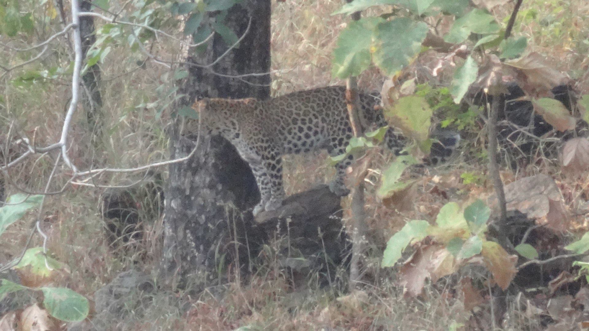 11041056_10206394140266723_7741561175971021540_o