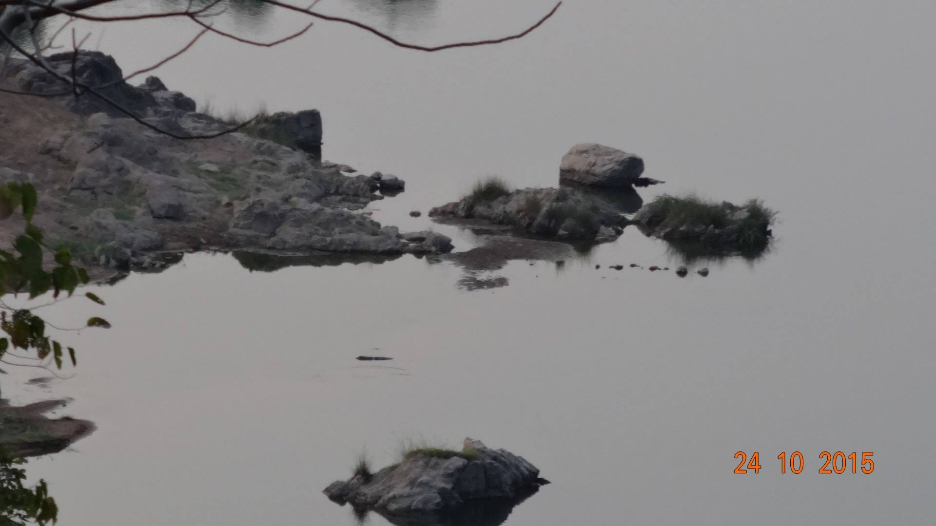 12045293_10206394142346775_6437638043948337655_o