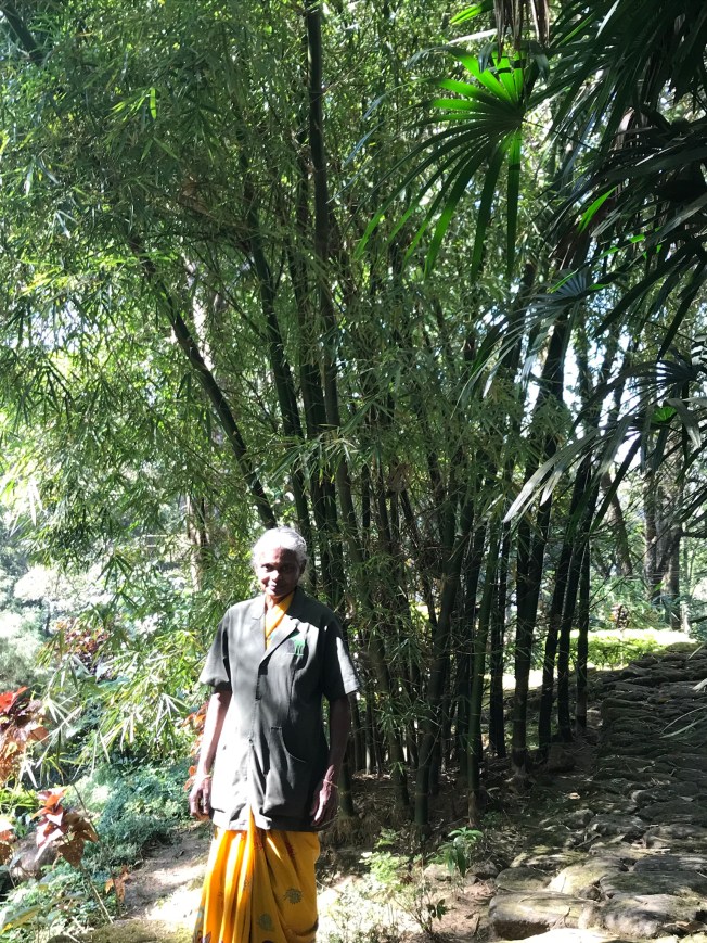 F1CF62E9-E038-48E8-8FB8-32E684DA3C15