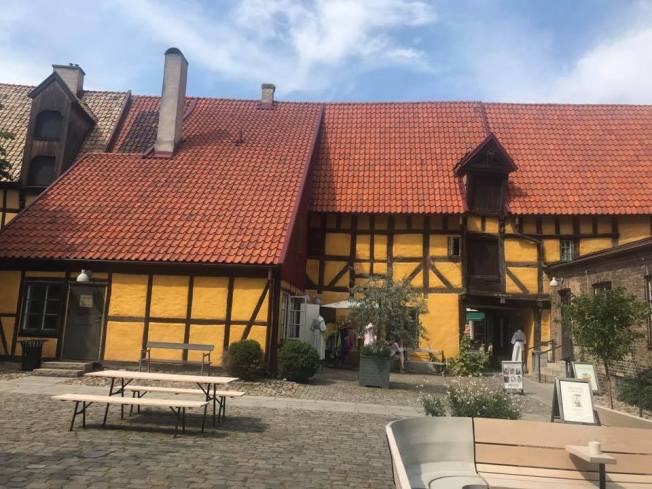 65243147_10216659212287108_7945465914487472128_n