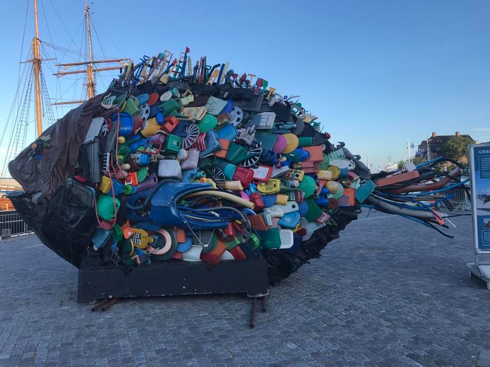 65387357_10216659181246332_5775396223183749120_n